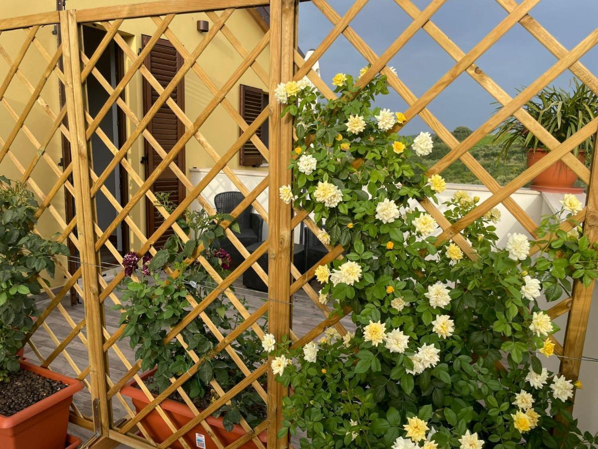 Li Da Ste Villa Ripatransone Ngoại thất bức ảnh