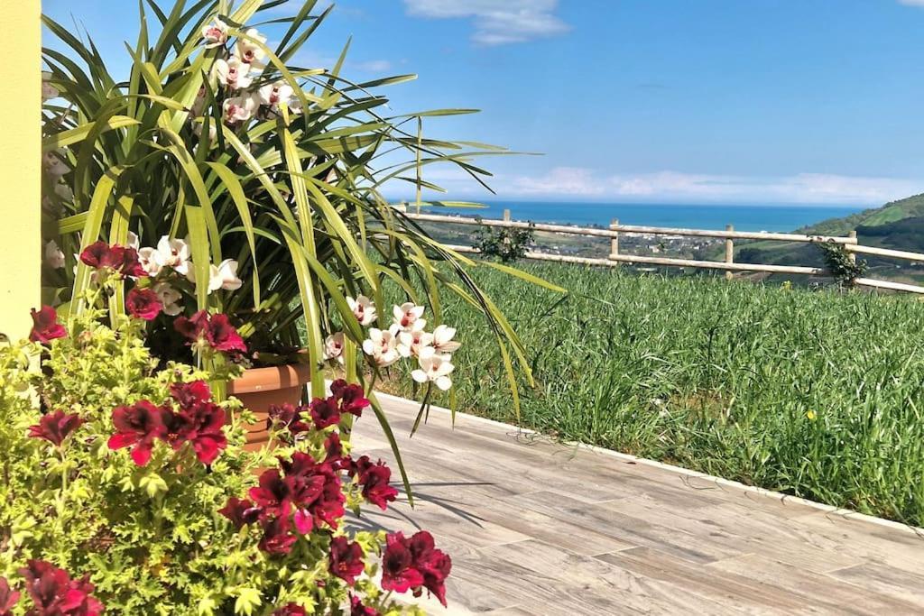 Li Da Ste Villa Ripatransone Ngoại thất bức ảnh